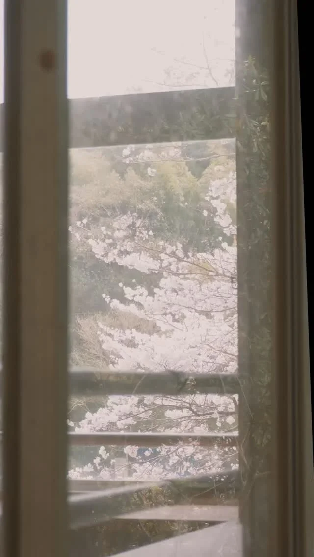 桜の学校に泊まってみませんか？
家族と、友達と、桜の学校で春旅。エモい思い出を作りましょう。#いいかねpalette