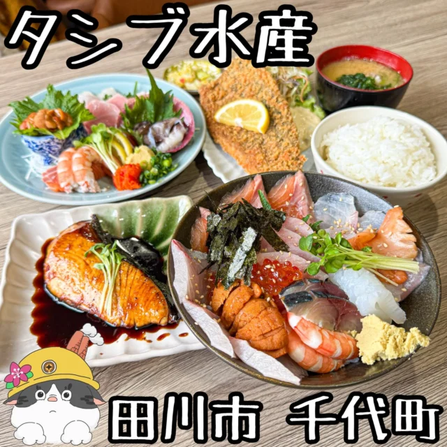 ☻

⁂⁂⁂⁂⁂⁂⁂⁂⁂⁂⁂⁂⁂⁂⁂⁂⁂⁂⁂⁂⁂⁂⁂⁂
∝店名➡︎【タシブ水産】
∝アカ➡︎ @tashibu.suisan 
∝住所➡︎ 福岡県田川市千代町8-4
　　　　田川市役所の下
∝電話➡︎ 0947-49-3533
∝休日➡︎ 日、祭日
∝営業➡︎ ランチ11:00〜14:30
　　　　魚屋10:00〜18:00
　　　※ 投稿の内容は変更となる場合が
　　 　  ありますのでご確認ください。
⁂⁂⁂⁂⁂⁂⁂⁂⁂⁂⁂⁂⁂⁂⁂⁂⁂⁂⁂⁂⁂⁂⁂⁂

▽【ジャンボアジフライ定食】....¥1650
▽【特上刺身定食】......................¥2530
▽【特上海鮮丼】..........................¥2530
など
🔜🔜🔜メニューありswipe🔜🔜🔜

「タシブ水産」さん。

魚のサンヨーさんが移転されてタシブ水産さんに。

嬉しいのは美味しくて新鮮なお魚のランチが
リーズナブルにいただけること！

都会ではこのクオリティでこの値段は無理。

どのネタも新鮮ピチピチ、ぶりんぶりん！
アジフライなんて僕の顔くらい大きい！

もちろん18:00まで、毎朝市場で厳選された
色々な鮮魚もあるので買って帰れます。

近くで美味しい海鮮丼が食べれるのうれしい！
ご馳走様でした！

◆◆◆◆◆◆◆プチ情報コーナー◆◆◆◆◆◆◆
①新鮮めちゃウマな魚屋さんも併設
②定食は全てに刺身が付いてます
③刺身定食についてる照り焼きも絶品
④カウンターもあるのでお一人様も◎
▽▽▽▽▽▽▽▽▽▽▽▽▽▽▽▽▽▽▽▽▽▽▽▽▽▽▽▽
#福岡グルメ#福岡ランチ
#田川市グルメ#田川市カフェ#田川市